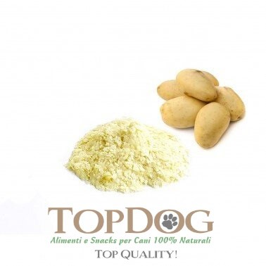 Frutta Adatta Ai Cani: Quale Scegliere E Quale Evitare - Foto 2