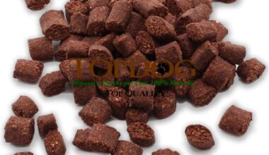 Premietto per cani Ipoallergenico con proteina di insetti 100gr