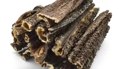 trippa verde di manzo essiccata per cani 1 kg
