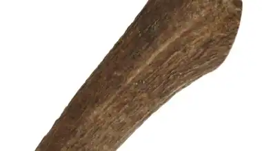 corna di cervo xl cani grande taglia