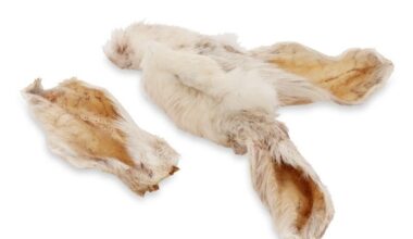 Orecchie-di-coniglio-con-pelo-per-cani.jpg