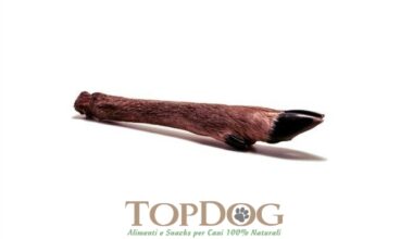 Zampa di Cervo per cani