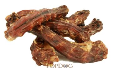 Colli di Pollo essiccati per cani