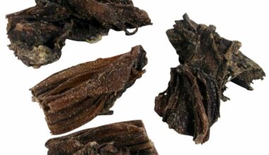 Rumine di Bovino Essiccato per Cani TOPDOG® 200 g