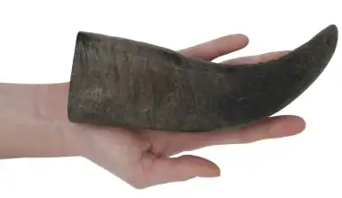corno di bufalo per cani vendita