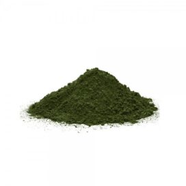 alga clorella per cani
