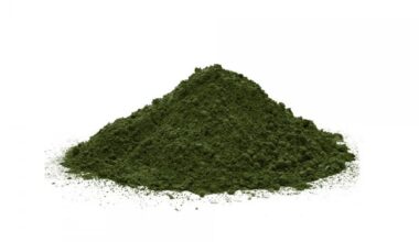 alga clorella per cani