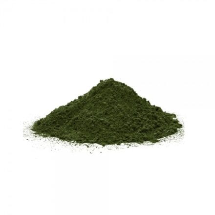 alga clorella per cani