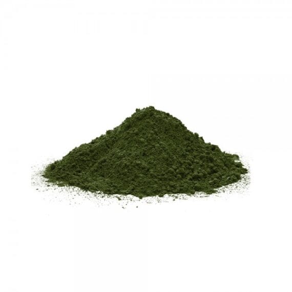 alga clorella per cani