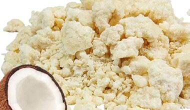 cocco disidratato per cani