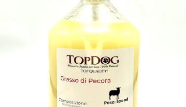 Questa operazione non è consentita per il contesto specificato.