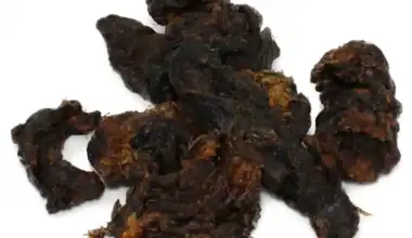 carne di cavallo disidratata per cani