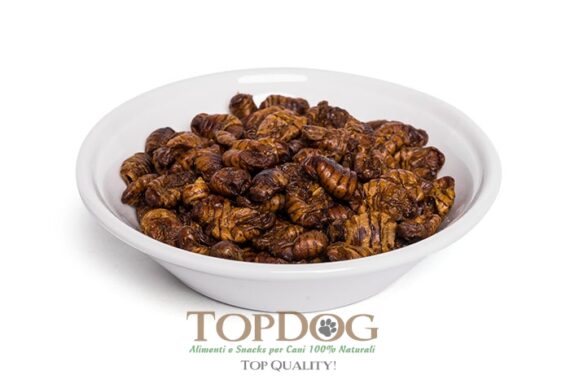 Larve di insetto essiccate per cani 100gr thumbnail
