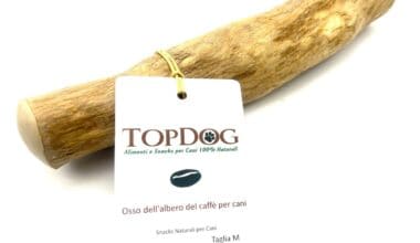 legno-caffe-per-cani-top-dog