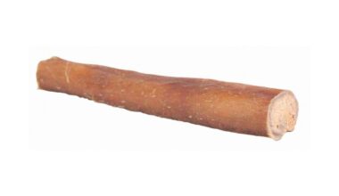 Nerbo di Bue per Cani 12 cm