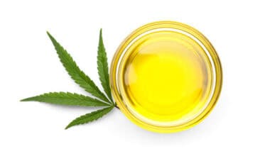 olio di canapa per cani