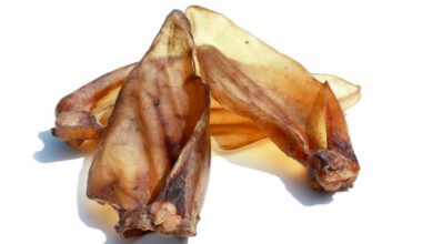 orecchie di bovino senza pelo per cani