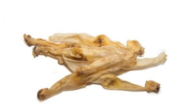orecchie di coniglio essiccate senza pelo per cani