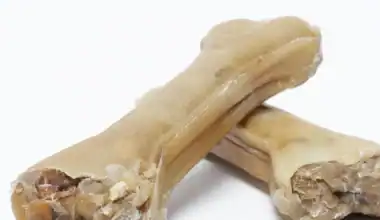 osso di pelle di bufalo con anatra e mela per cani