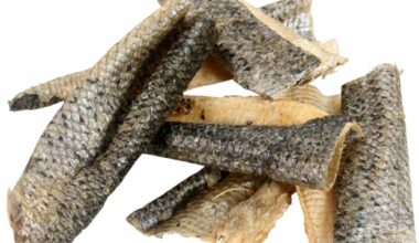 Pelle di Salmone essiccata per cani 150gr