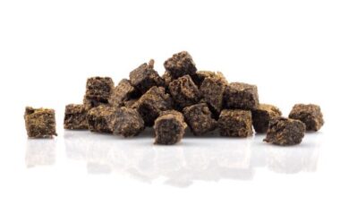 cubetti di carne essiccata di manzo per cani