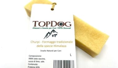 churpi-per-cani-top-dog
