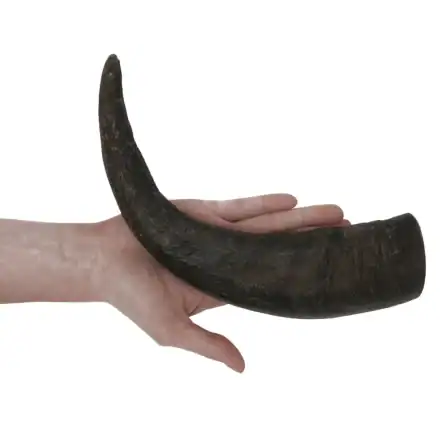 corno di bufalo per cani vendita