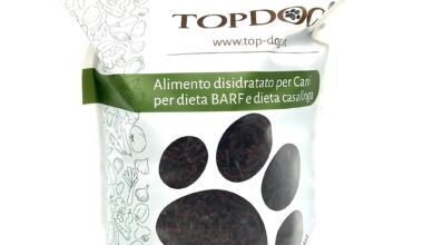 barbabietola disidratata per cani