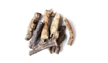 polmone-di-agnello-per-cani