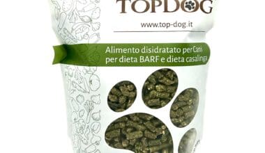 erba medica per cani