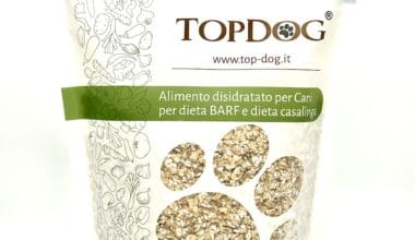 grano saraceno per cani