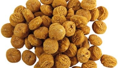 Premietti con Grilli e Patate Dolci per Cani 100 g