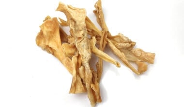 pelle-di-capra-essiccata-per-cani