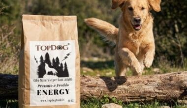 cibo naturale per cani energy