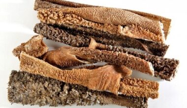 Trippa Verde Essiccata di Agnello per Cani 200 g