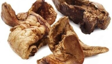 Polmone di Cavallo Essiccato per Cani 250 g | TOPDOG®