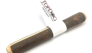 legno-ulivo-cani-S