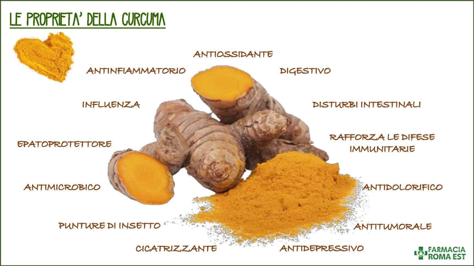 curcuma per cani