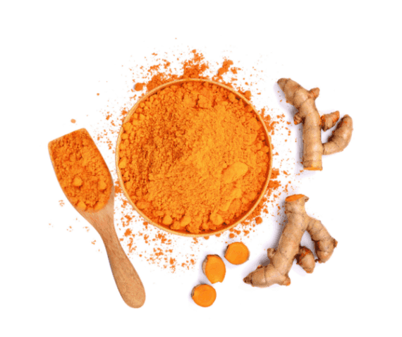 curcuma per cani