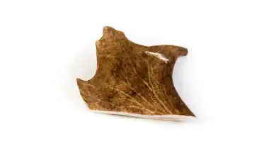 corna di daino per cani