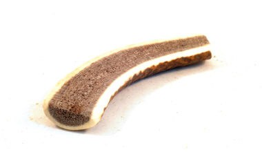 corno-cervo-per-cani-dimezzato-s
