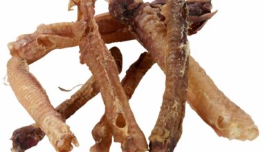 trachea-agnello-essiccata-per-cani