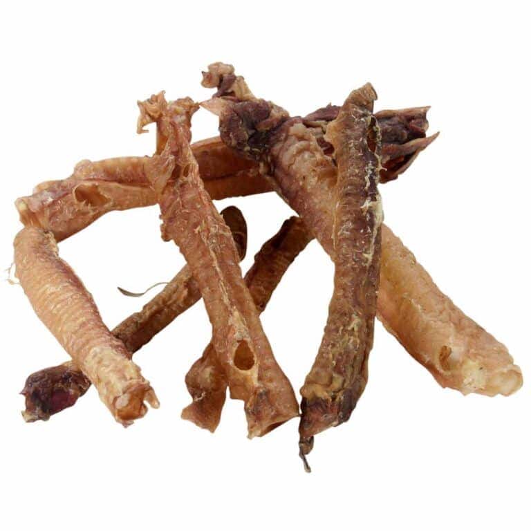trachea-agnello-essiccata-per-cani