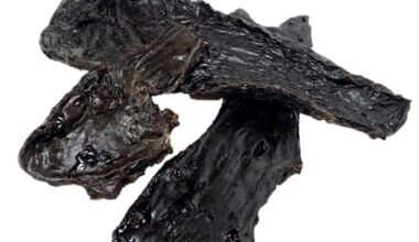 fegato di cavallo essiccato per cani
