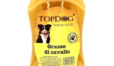 grasso di cavallo per cani