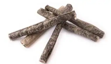 bastoncini di aringa essiccata per cani