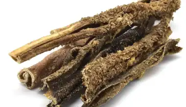 Trippa Verde essiccata di Capra per cani 100gr
