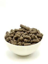 crocchette pressate a freddo per cani