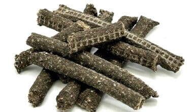 bastoncini di merluzzo per cani con mirtilli