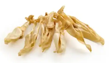 orecchie di coniglio essiccate senza pelo per cani-2
